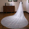 Voile de mariage longue queue mariée couvre-chef voile de ciel étoilé brillant blanc - Page 2