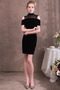 Robe de cocktail Dentelle mini Sans Manches Naturel taille Manquant - Page 1