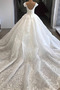 Robe de mariage Manquant a ligne Laçage Col en V Dentelle Traîne Royal - Page 2