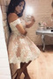 Robe de cocktail Couvert de Dentelle Fête A-ligne Balançoire - Page 2