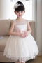Robe de fille de fleur Dramatique Fermeture à glissière Couvert de Dentelle - Page 3