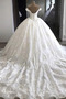 Robe de mariée Hiver Laçage A-ligne Traîne Royal Epurée Salle - Page 2