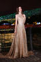 Robe de soirée Été Manquant Col Bateau Sans Manches Étoilé A-ligne - Page 1