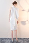 Robe de soirée Glamour Sans Manches Naturel taille Fermeture à glissière - Page 2