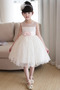 Robe de fille de fleur Dramatique Fermeture à glissière Couvert de Dentelle - Page 1