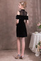 Robe de cocktail Dentelle mini Sans Manches Naturel taille Manquant - Page 2