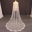 Robe de mariée nuptiale perle châle voile traînant châle en dentelle