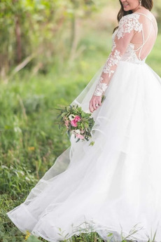 Robe de mariée Manche Longue Manche Aérienne Dentelle Col en V