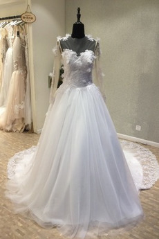 Robe de mariée Manche Longue Traîne Longue Sommaire aligne Tulle